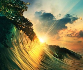 宝盈app - 四马投唐是哪四个人 