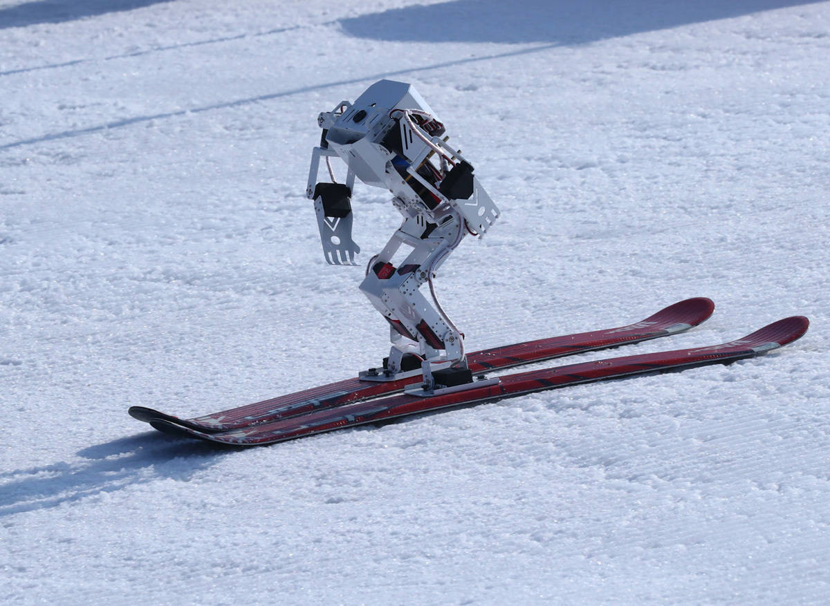 亚特兰蒂斯图片真实图片 亚特兰蒂斯图片真实图片
